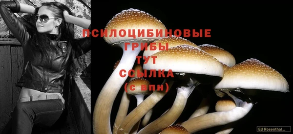 наркотики Зеленодольск