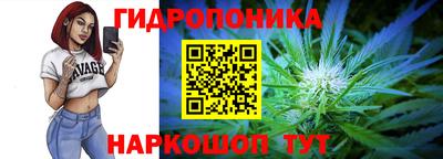 шишки Донской