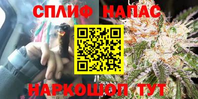 спиды Краснодар