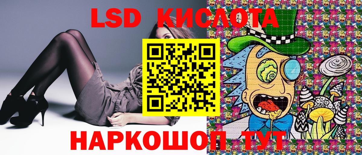 Галлюциногенные грибы Камышлов