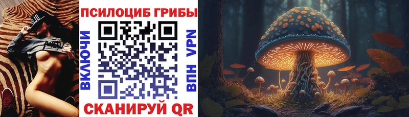 Псилоцибиновые грибы MAGIC MUSHROOMS  Камышлов 